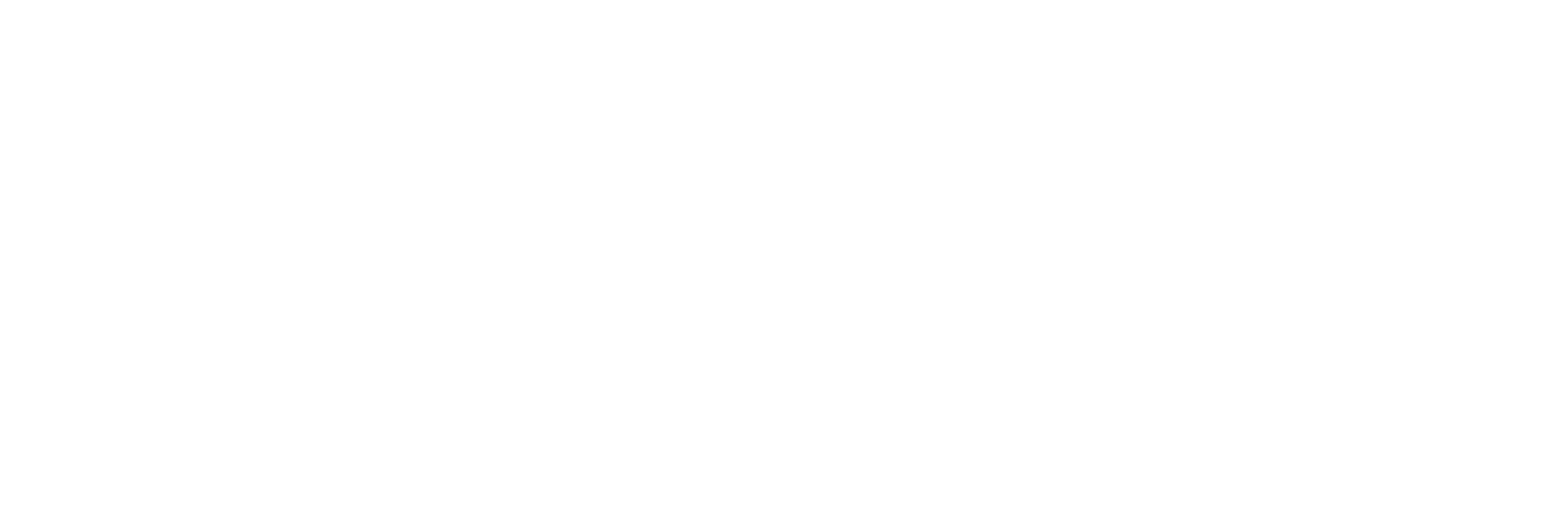 De Zuidvliet
