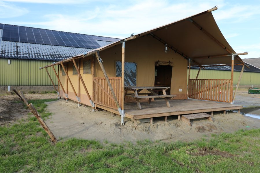 Glamping tent Sunshine 5 persons
