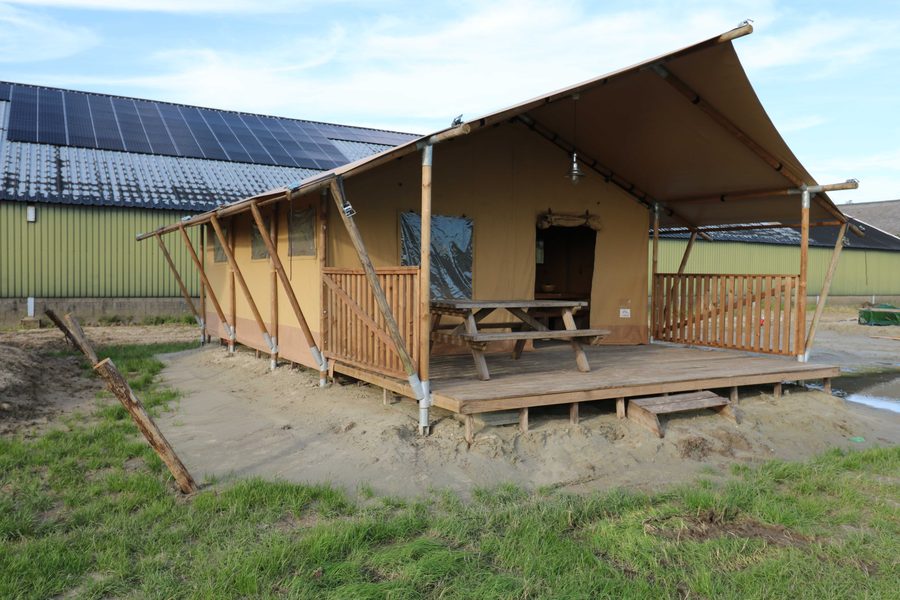 Luxury Glamping in Nature at the Veerse Meer | 5 pers Dreamer