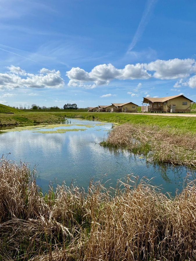 Luxury Glamping Near the Veerse Meer | 6 pers Dreamer